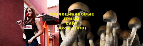 молекула духа Балахна