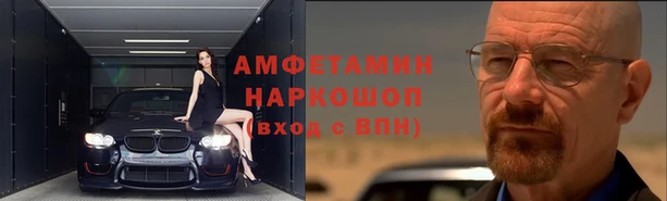 сатива Беломорск