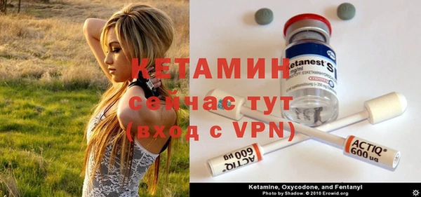 сатива Беломорск