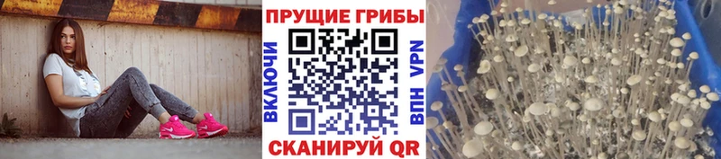 ОМГ ОМГ онион  Белый  Галлюциногенные грибы ЛСД  цена  